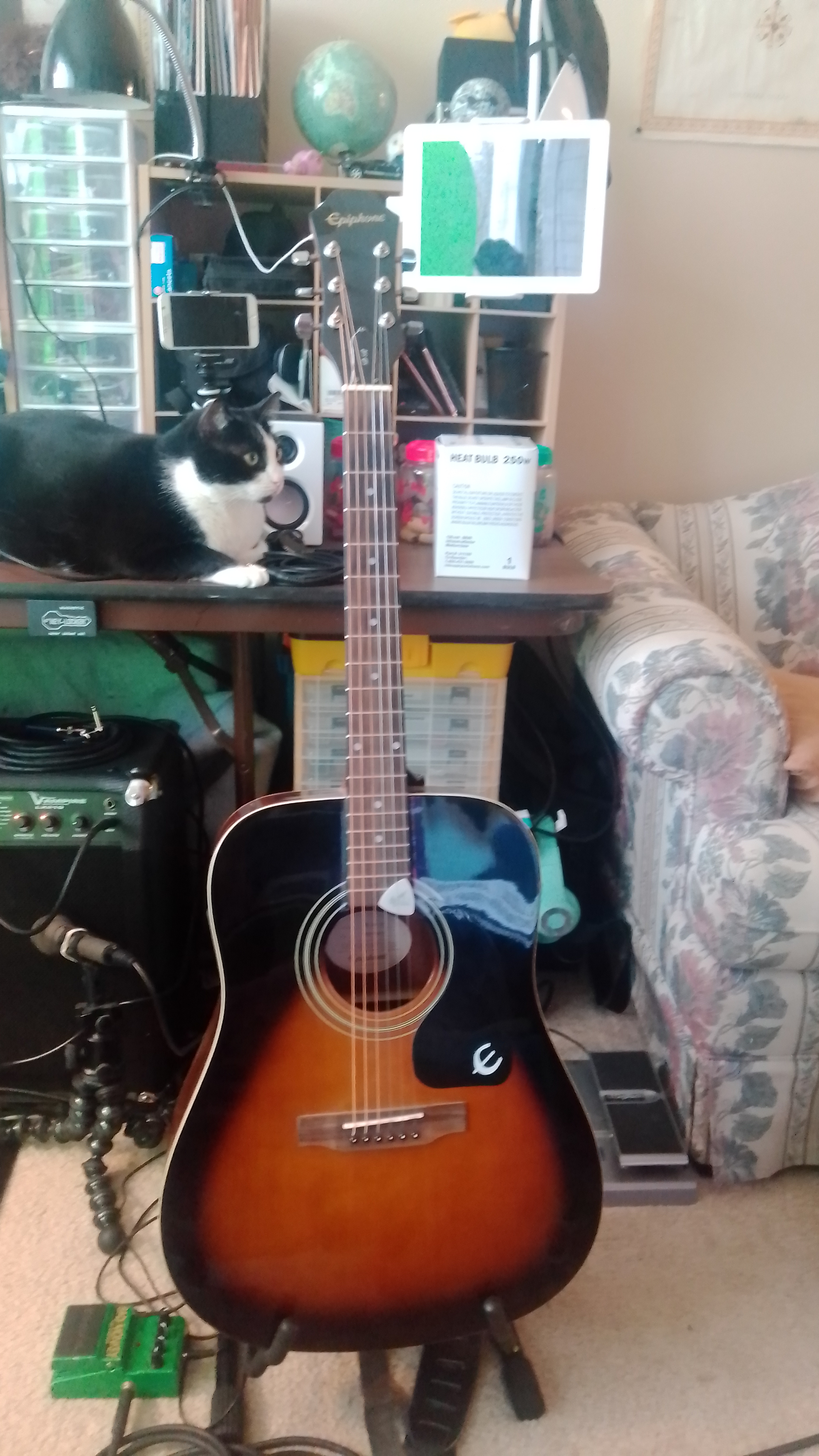 Epiphone DR100