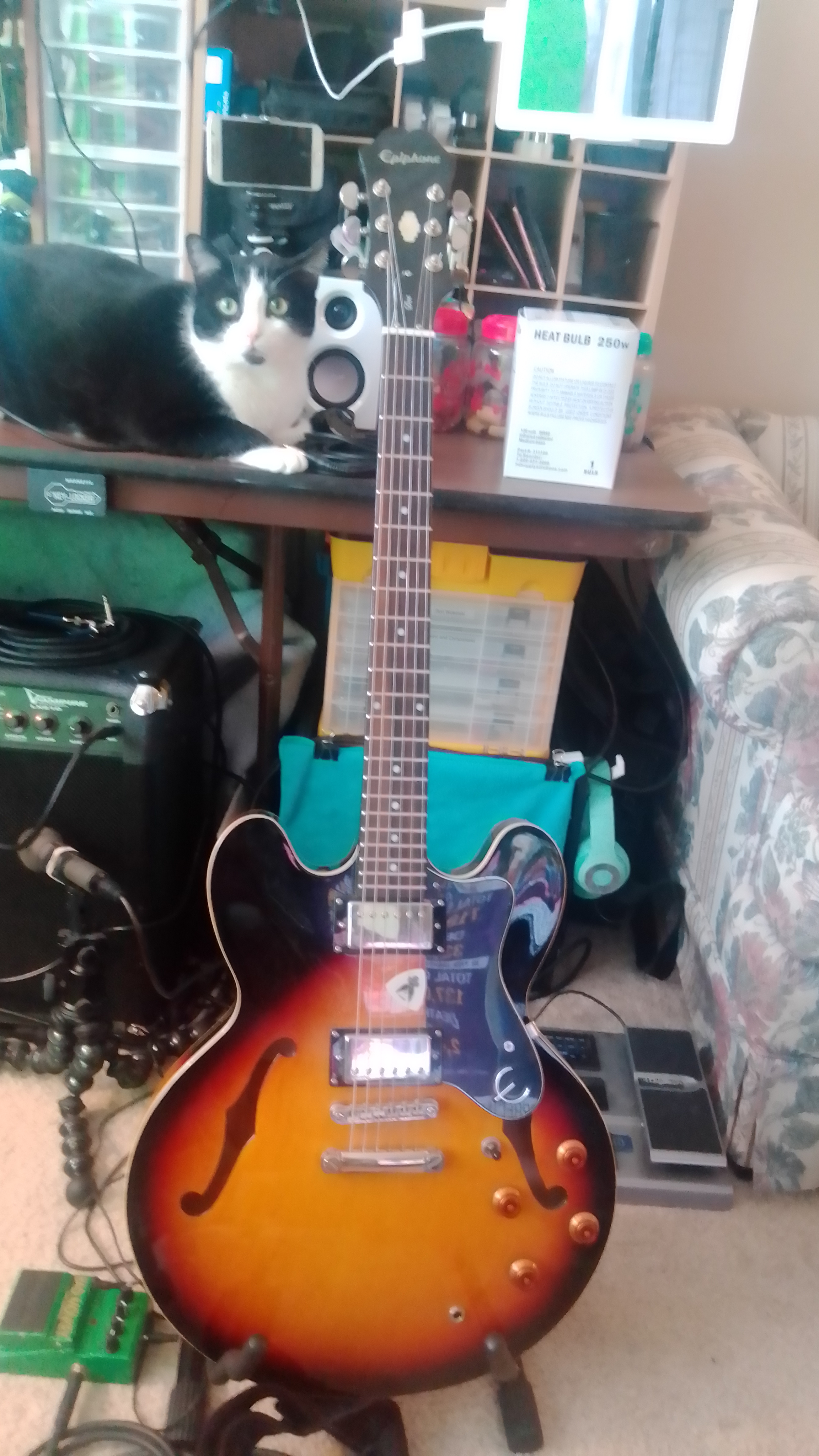 Epiphone Dot